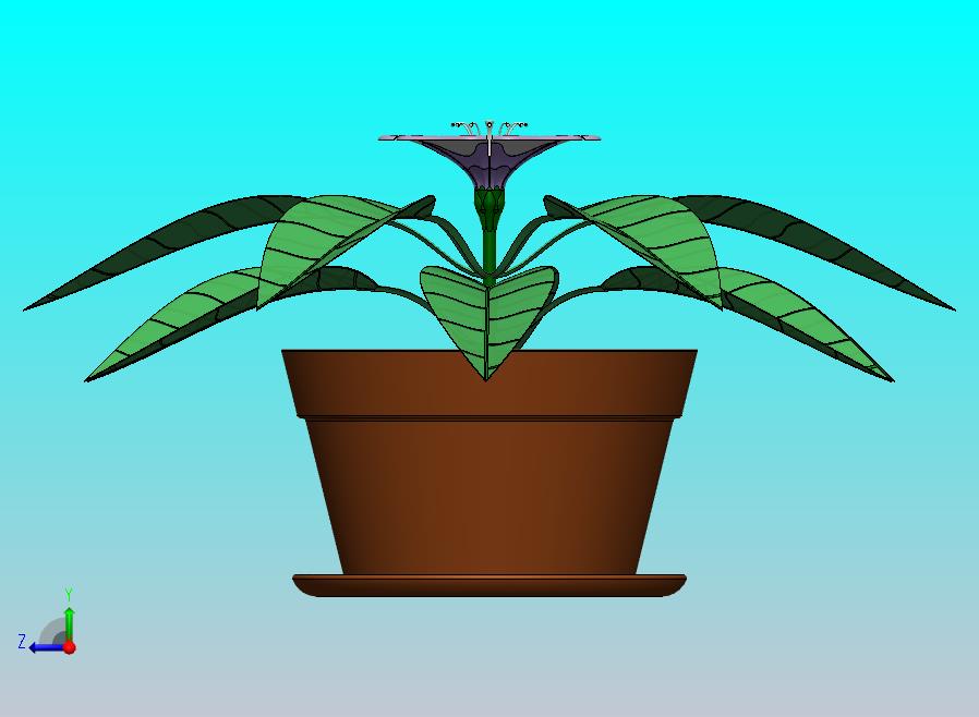 花精华开花植物