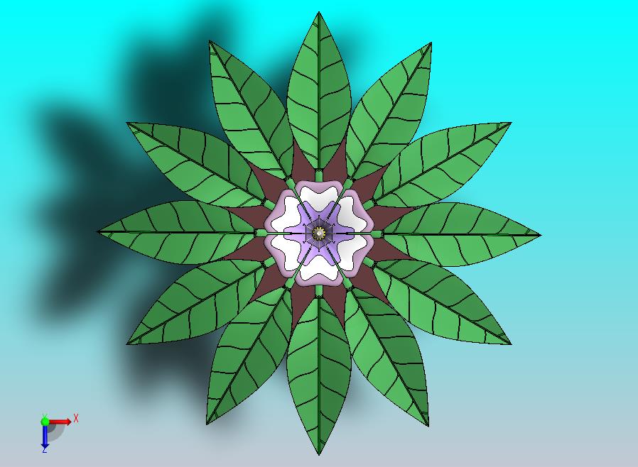 花精华开花植物