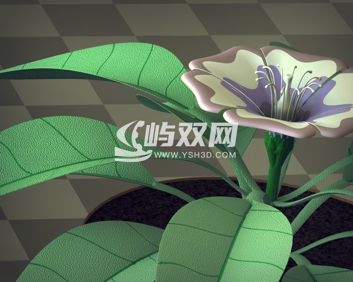 花精华开花植物