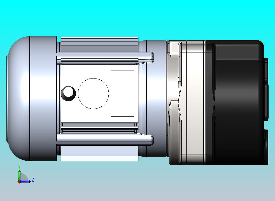 真空泵 BUSCH R5 RB0006 C IZO