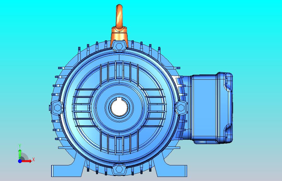 巴西万高WEG电机W21