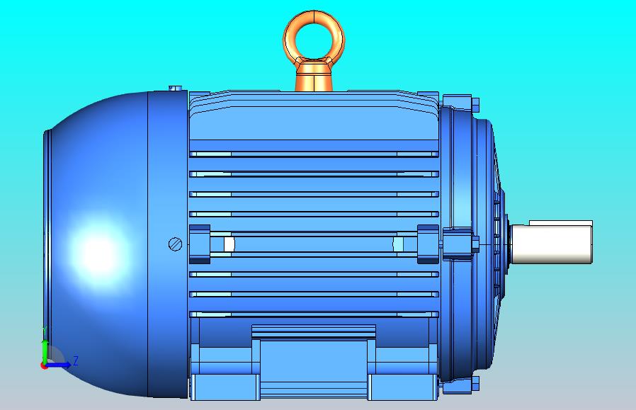 巴西万高WEG电机W21