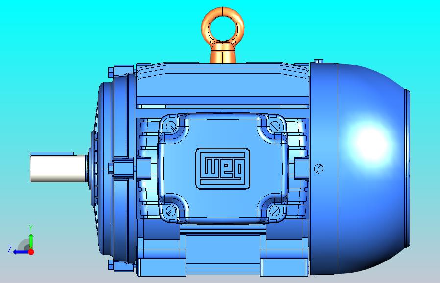 巴西万高WEG电机W21
