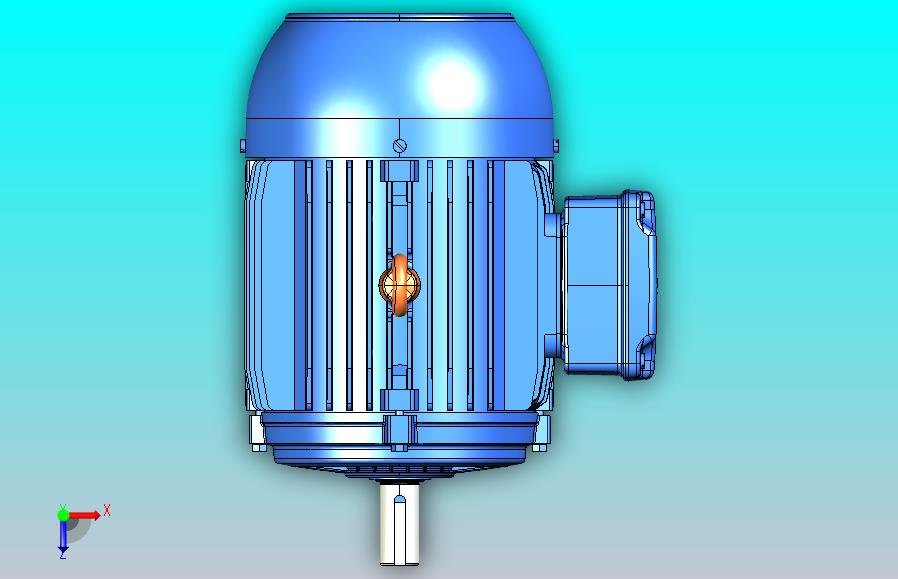 巴西万高WEG电机W21