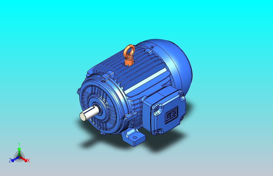 巴西万高WEG电机W21