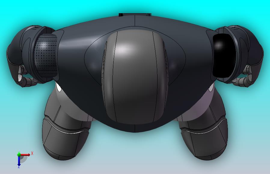 人体模型（男性）