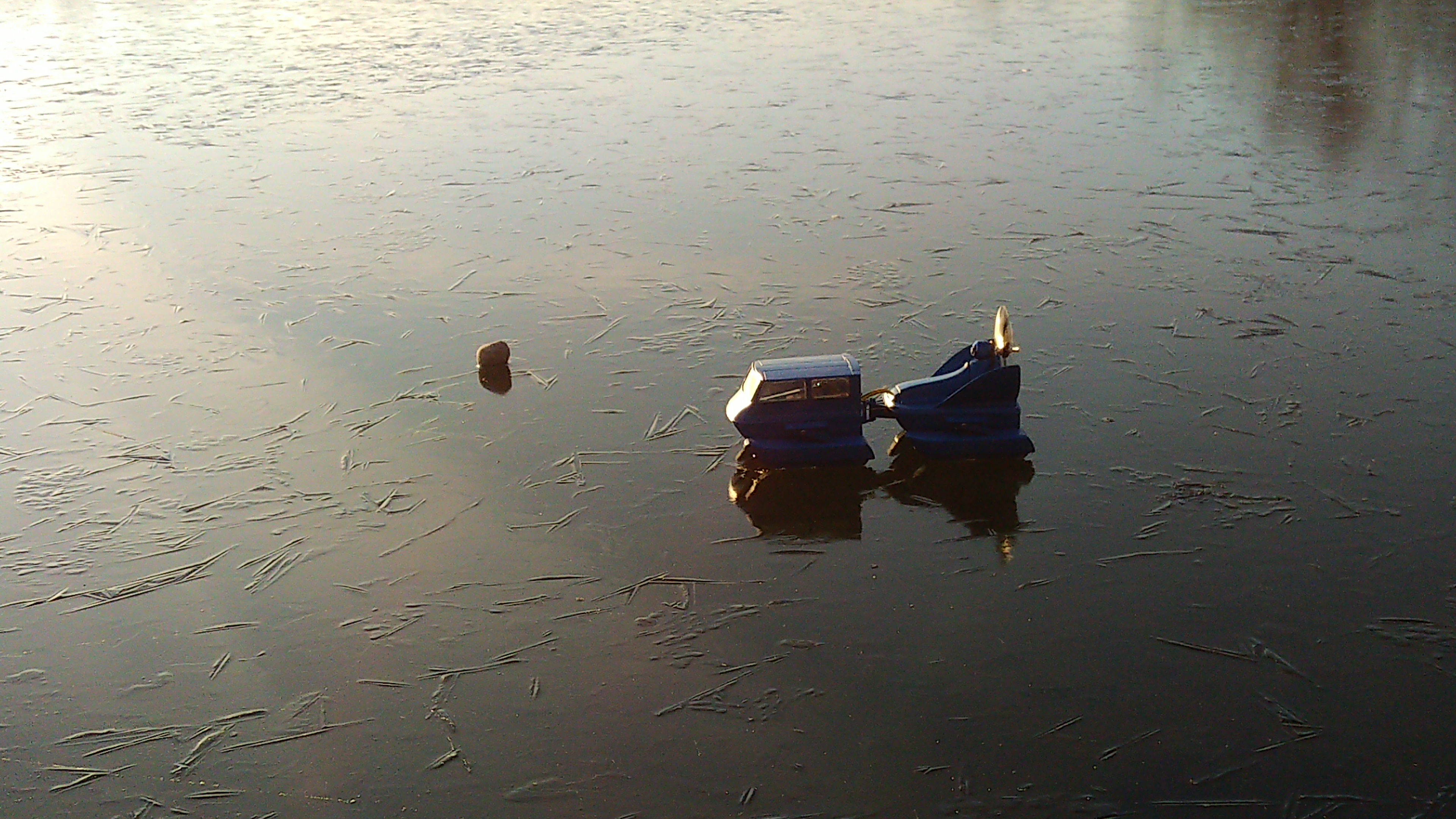 遥控模型北极蚁