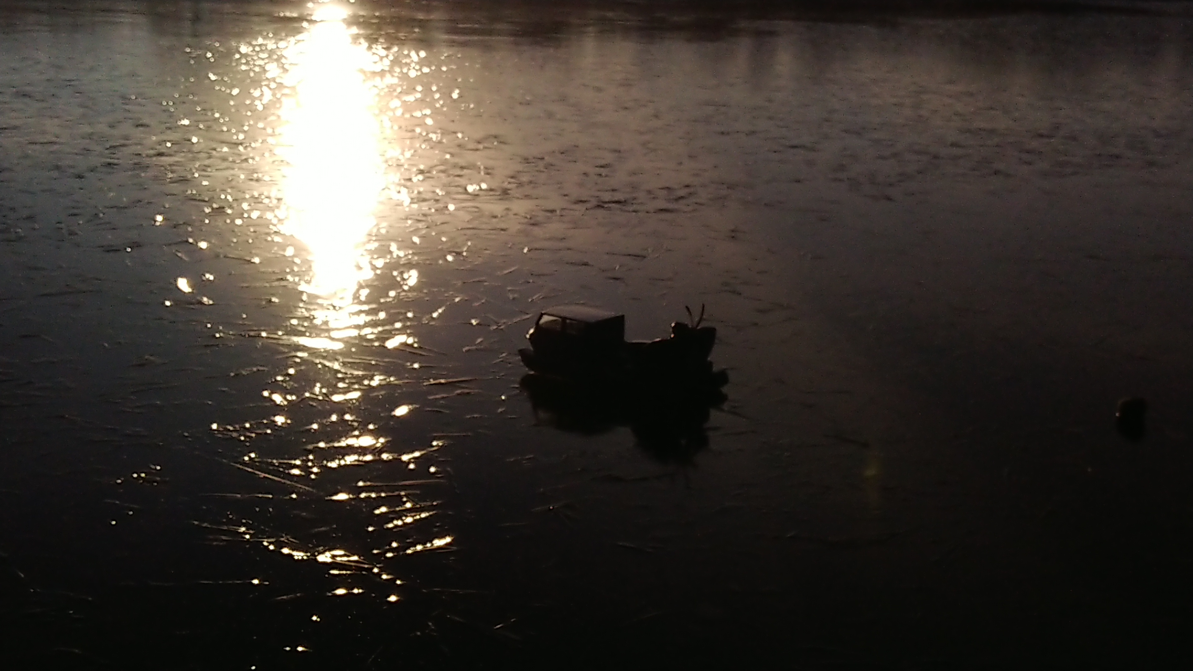 遥控模型北极蚁