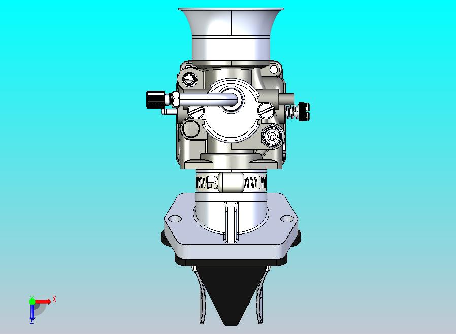 戴尔奥托 PHBG 21 DS 化油器