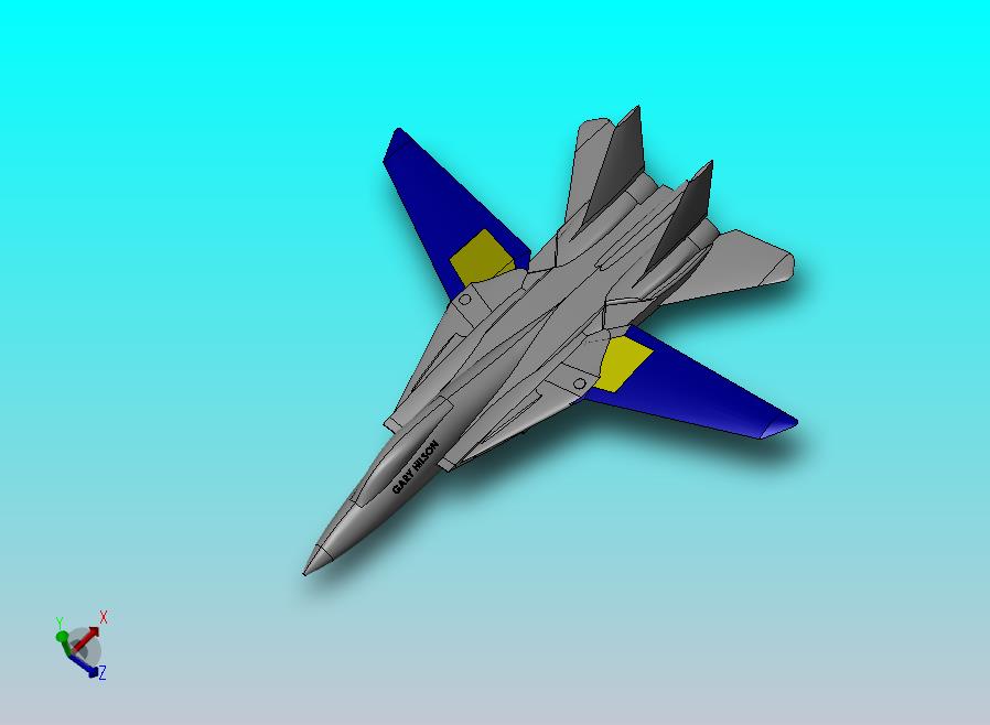 F-14 汤姆卡特战斗机