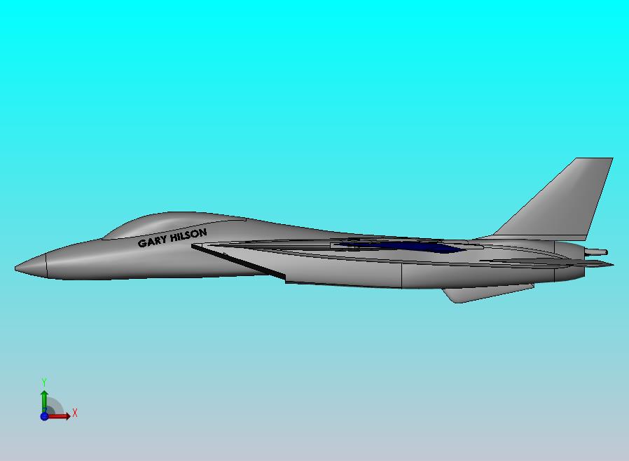 F-14 汤姆卡特战斗机