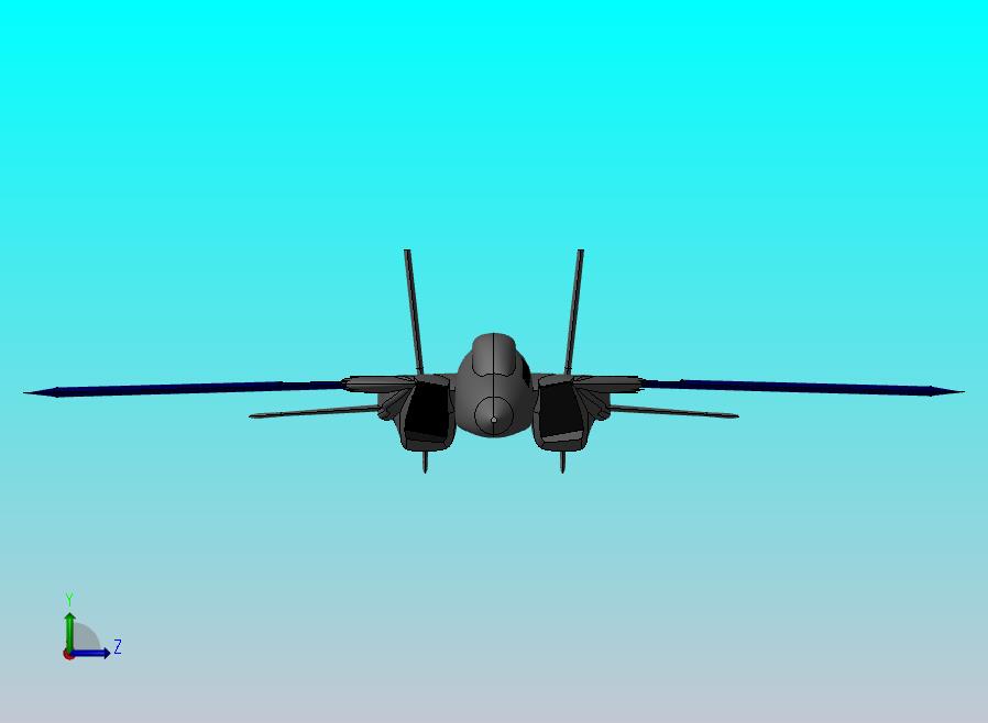 F-14 汤姆卡特战斗机