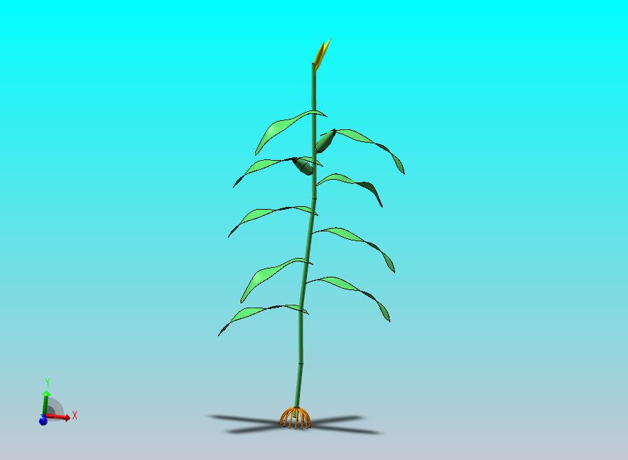 玉米苗三维模型