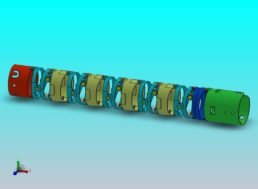 内窥镜蛇骨