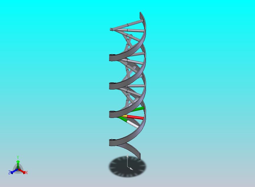 生物双螺旋DNA结构1