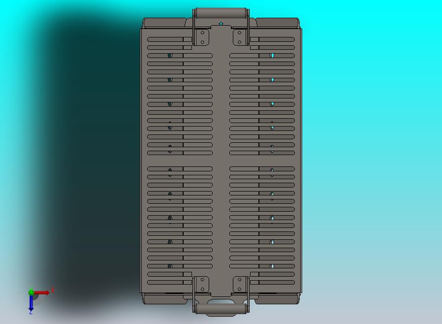 烧烤T1