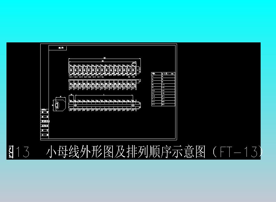 附图13  小母线外形图及排列顺序示意图（FT-13）