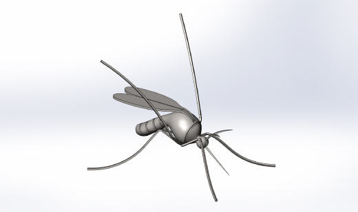 Mosquito蚊子模型缩略图