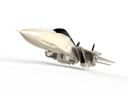 雄猫F-14 Tomcat战斗机缩略图