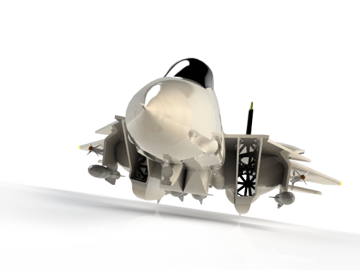 雄猫F-14 Tomcat战斗机缩略图