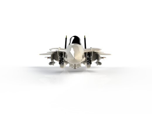 雄猫F-14 Tomcat战斗机缩略图