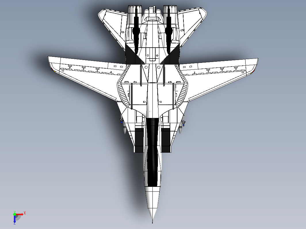 雄猫F-14 Tomcat战斗机