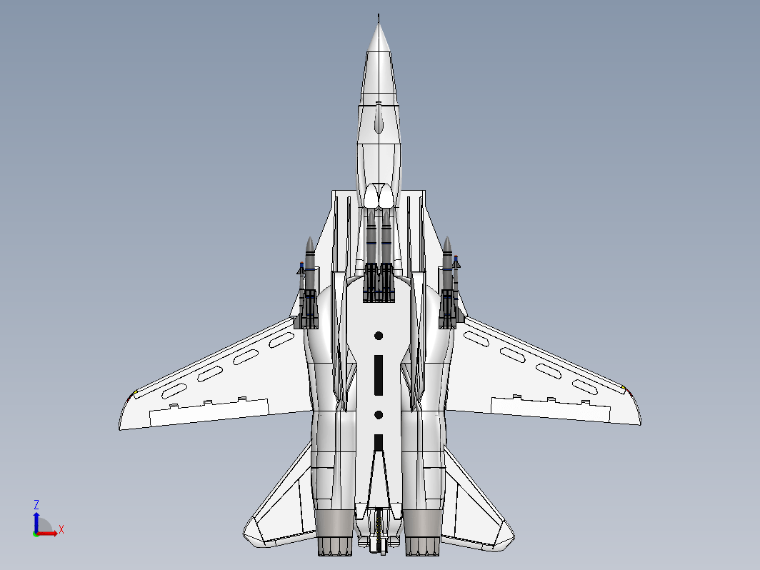 雄猫F-14 Tomcat战斗机