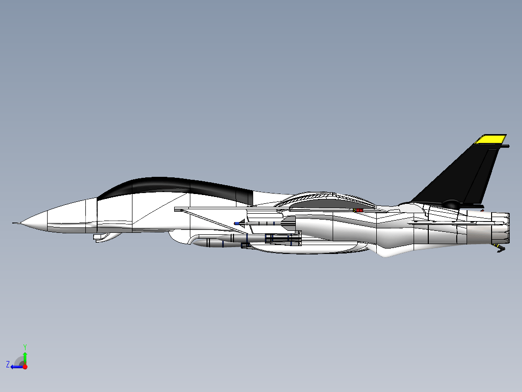 雄猫F-14 Tomcat战斗机