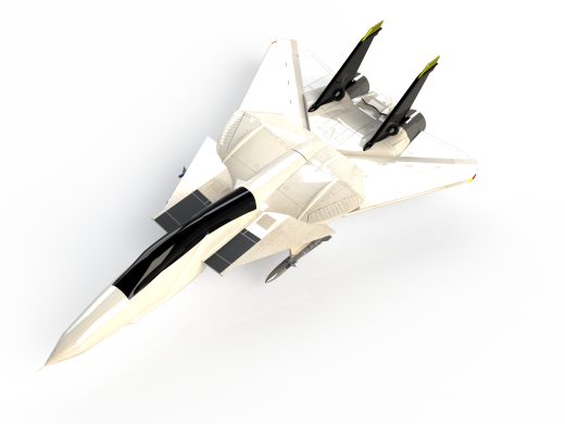 雄猫F-14 Tomcat战斗机缩略图