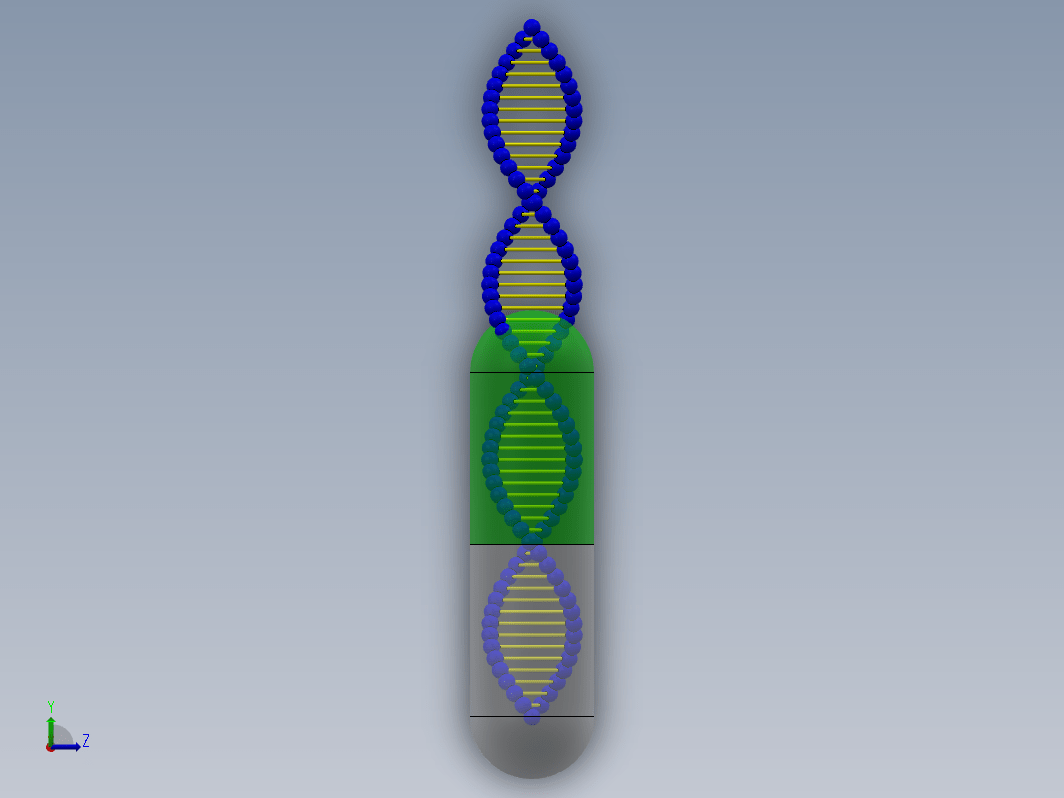 生物DNA胶囊