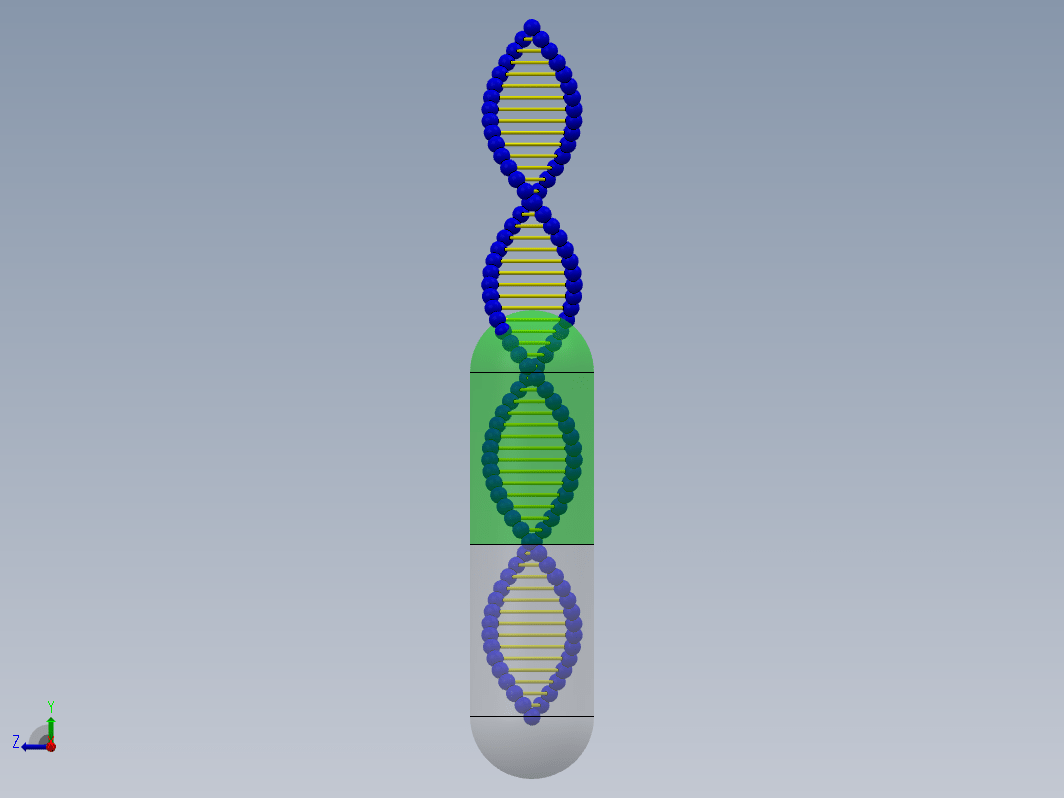 生物DNA胶囊