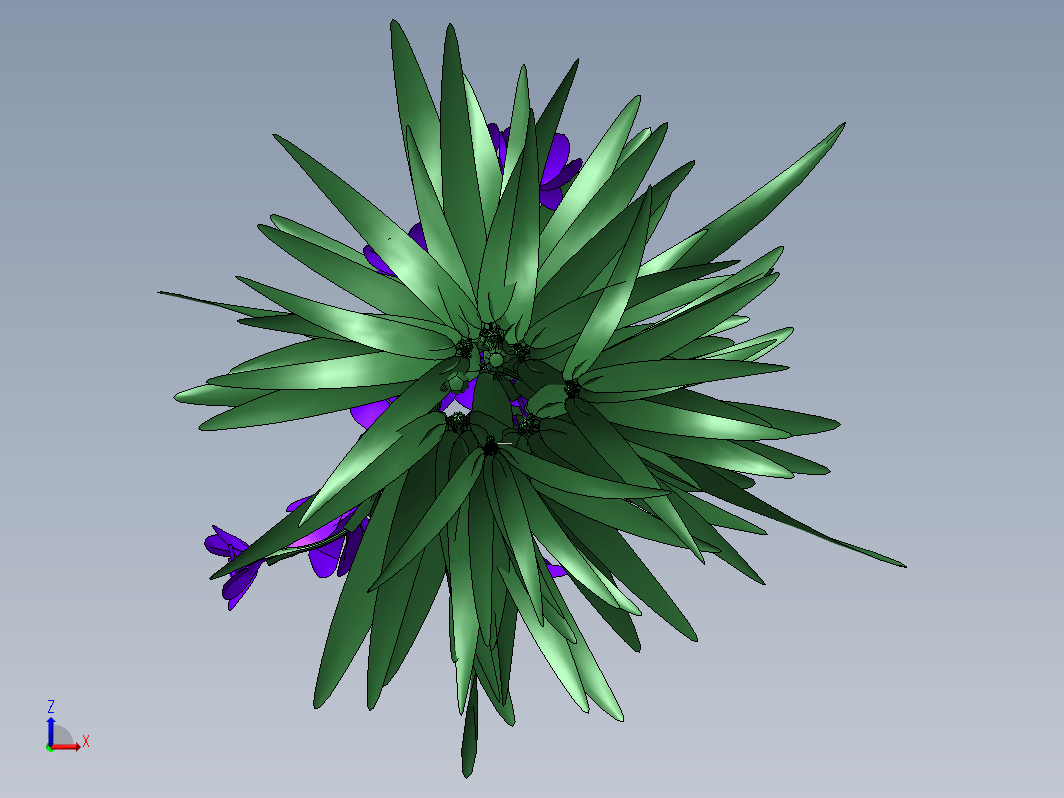 Babiana植物花模型