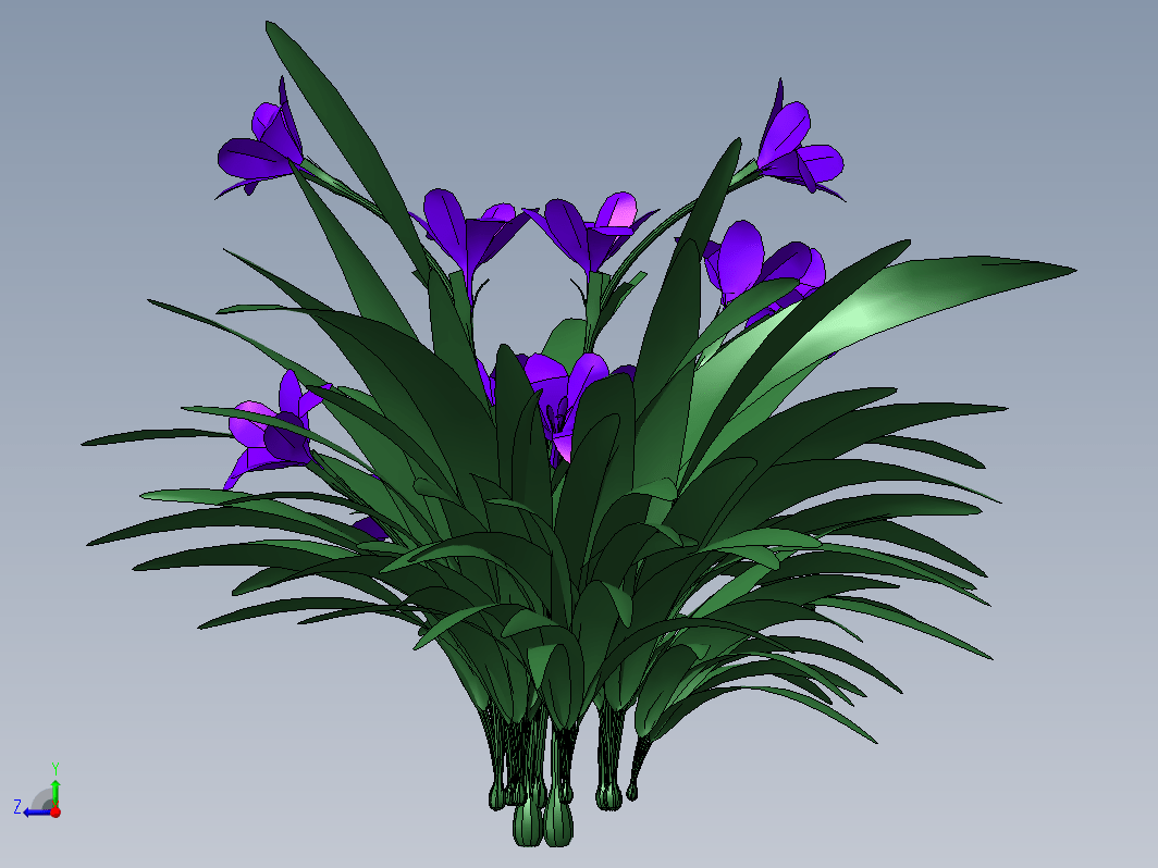 Babiana植物花模型