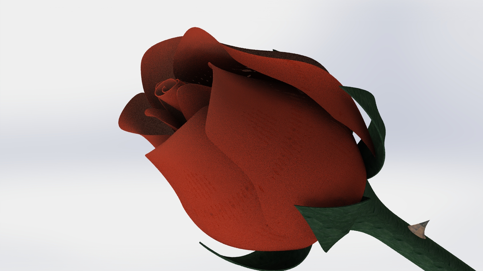 一只含苞待放的玫瑰花3D