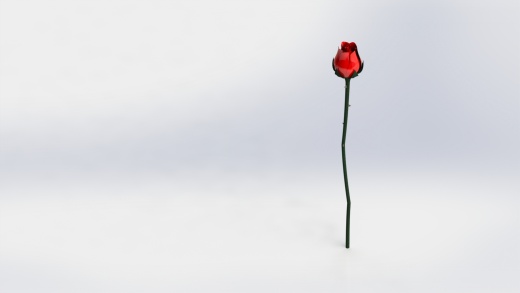 一只含苞待放的玫瑰花3D缩略图