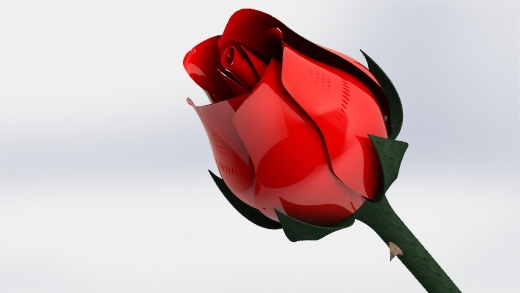 一只含苞待放的玫瑰花3D缩略图